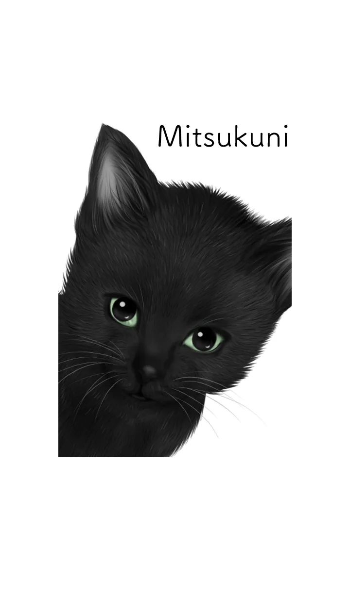 [LINE着せ替え] みつくに用可愛い黒猫子猫の画像1