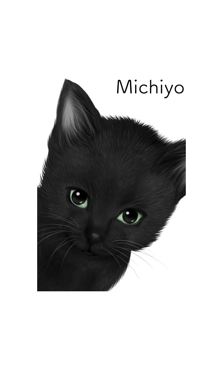 [LINE着せ替え] みちよ用可愛い黒猫子猫の画像1