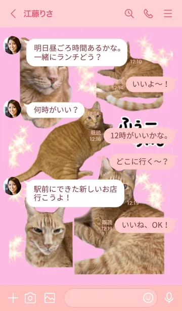 [LINE着せ替え] 我が家の愛猫の画像4