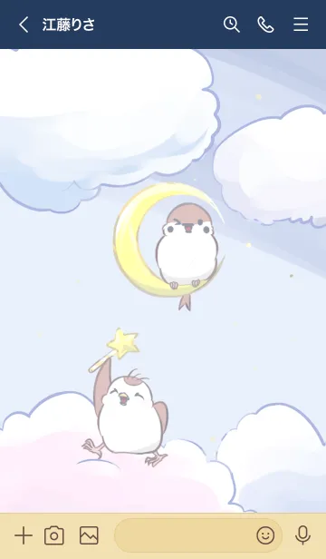 [LINE着せ替え] ちゅん子とちゅん太の星空さんぽの画像3