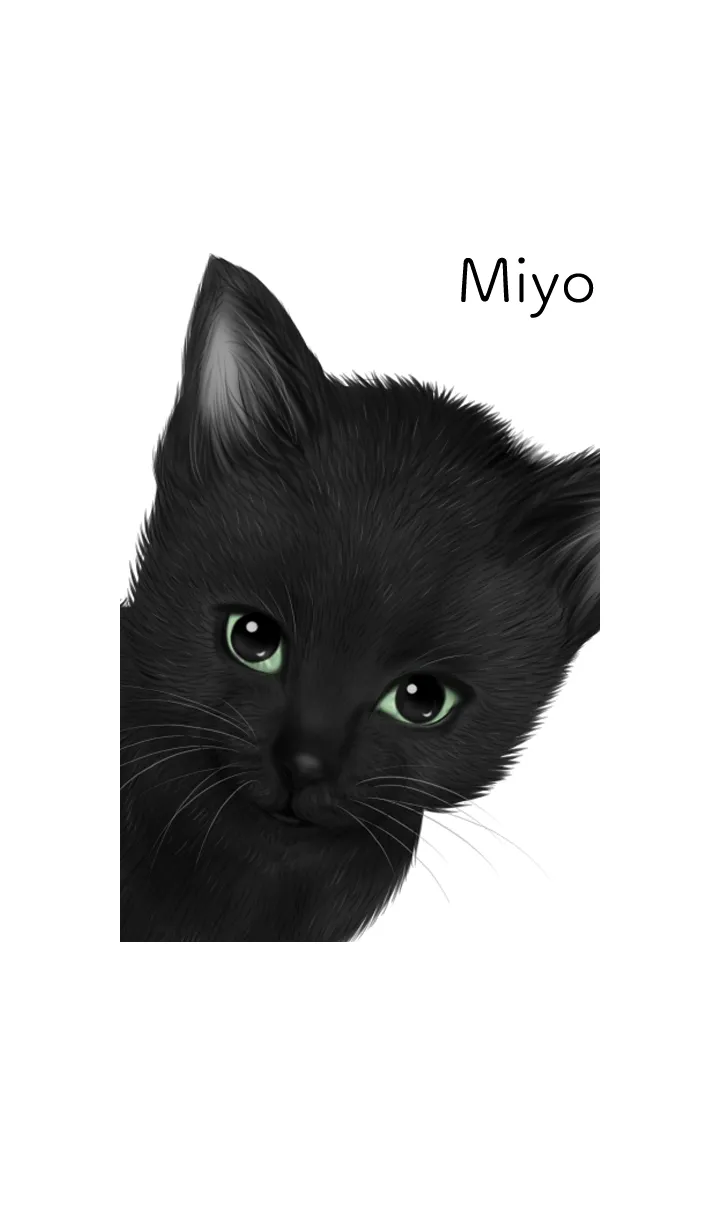 みよ用可愛い黒猫子猫の着せ替えメイン画像
