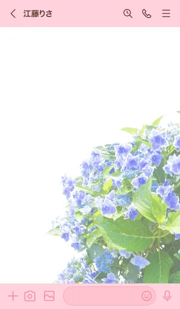 [LINE着せ替え] 「青い紫陽花」の着せ替えの画像3