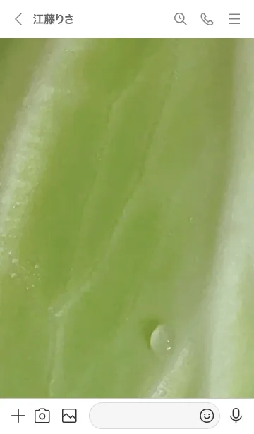 [LINE着せ替え] キャベツ01_1の画像3