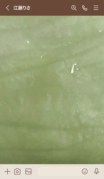 [LINE着せ替え] レタス02_1の画像3