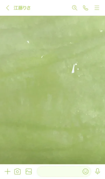 [LINE着せ替え] レタス03_1の画像3