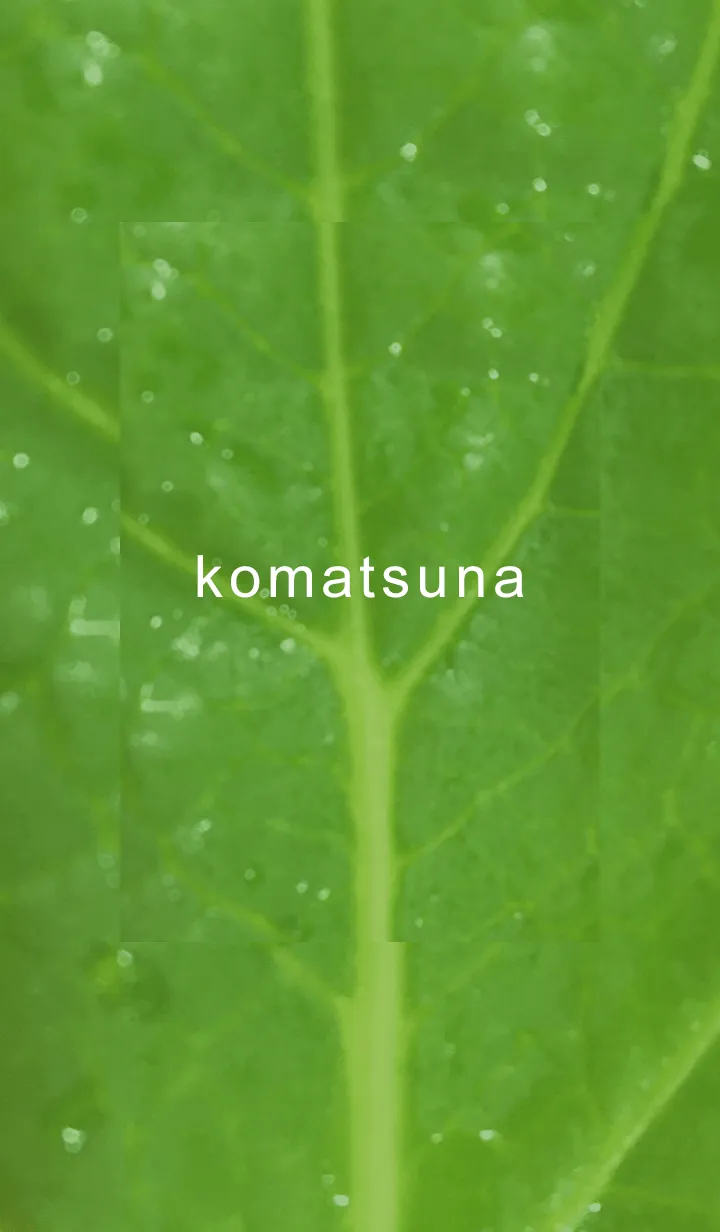 [LINE着せ替え] 小松菜01_1の画像1