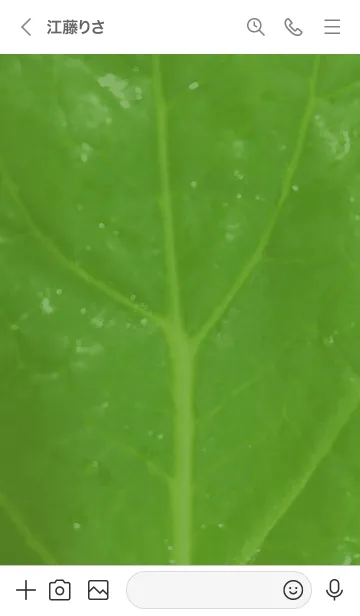 [LINE着せ替え] 小松菜01_1の画像3