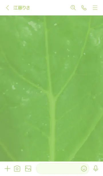 [LINE着せ替え] 小松菜02_1の画像3