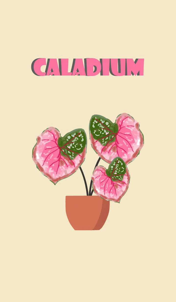 Love Caladium bicolor Theme (JP)の着せ替えメイン画像