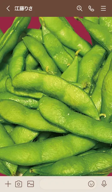 [LINE着せ替え] ボルドー : エダマメの画像3