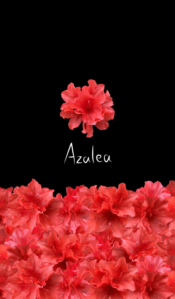 Azalea -Red-の着せ替えメイン画像