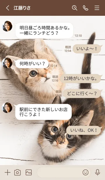 [LINE着せ替え] 癒しの♥ねこ日和の画像4