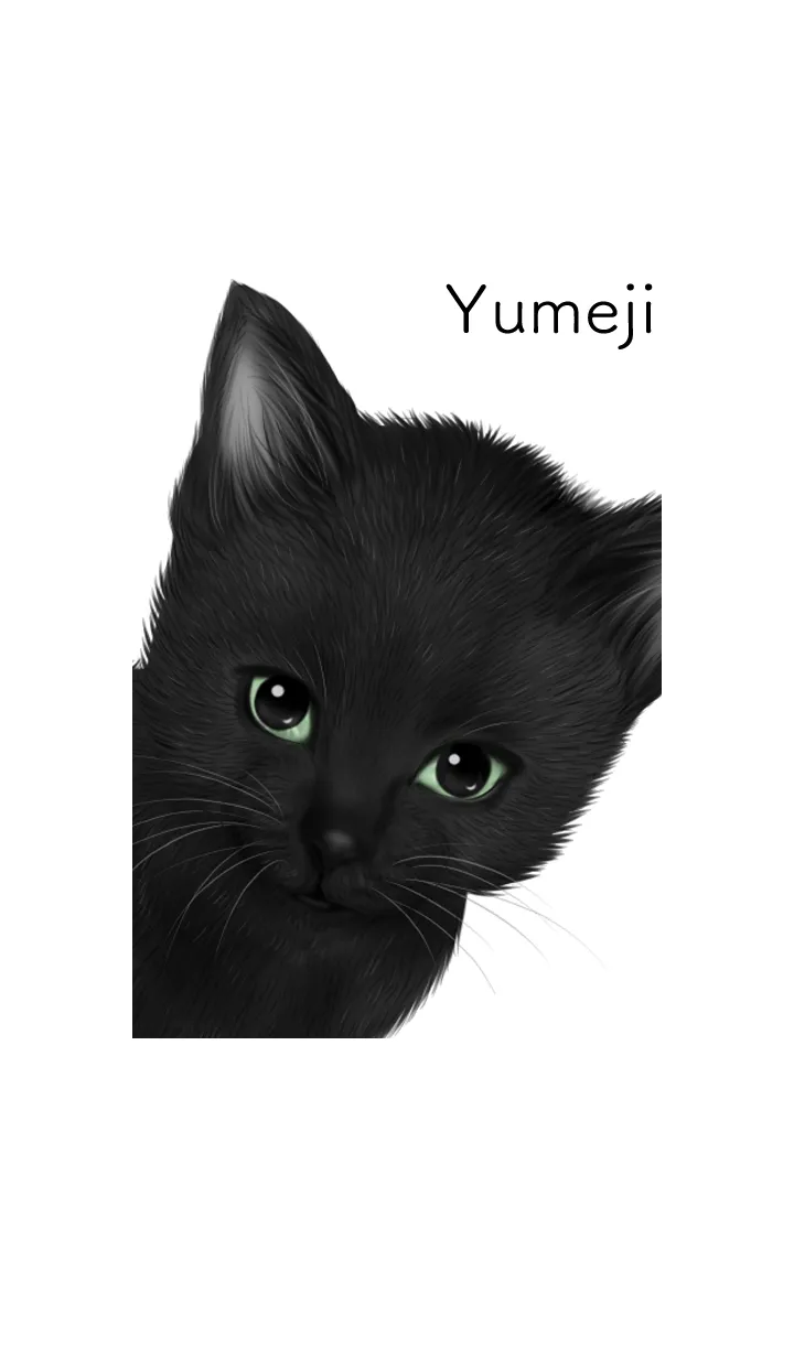 [LINE着せ替え] ゆめじ用可愛い黒猫子猫の画像1