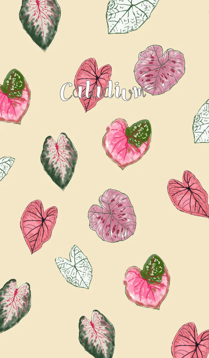 [LINE着せ替え] Love Caladium  Theme (JP)の画像1