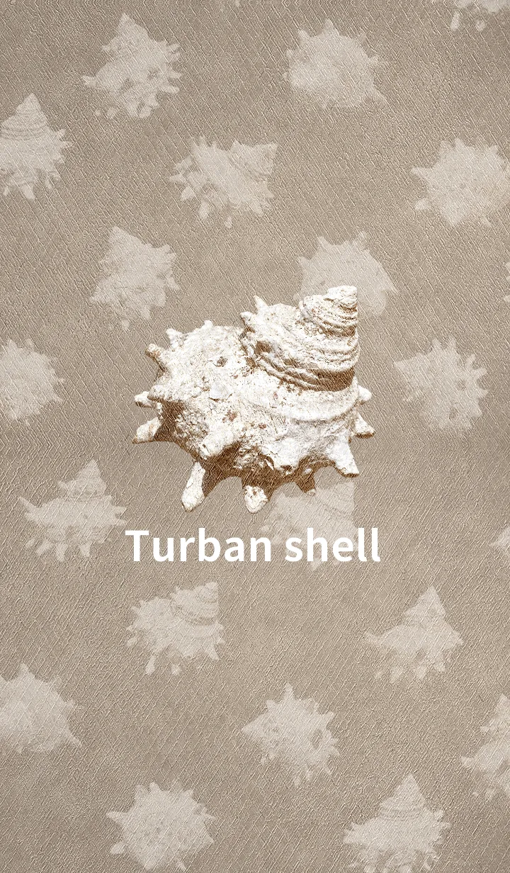 [LINE着せ替え] Turban shellの画像1