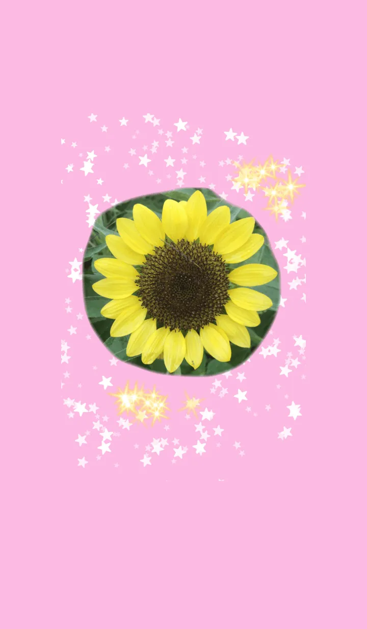 [LINE着せ替え] ひまわり 向日葵 ラブリーピンクの画像1