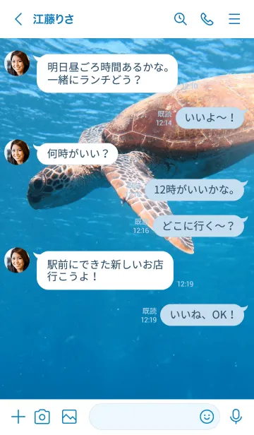 [LINE着せ替え] Natural_sea_05_turtleの画像4