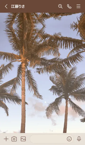 [LINE着せ替え] PALM TREE -SUNSET-の画像3