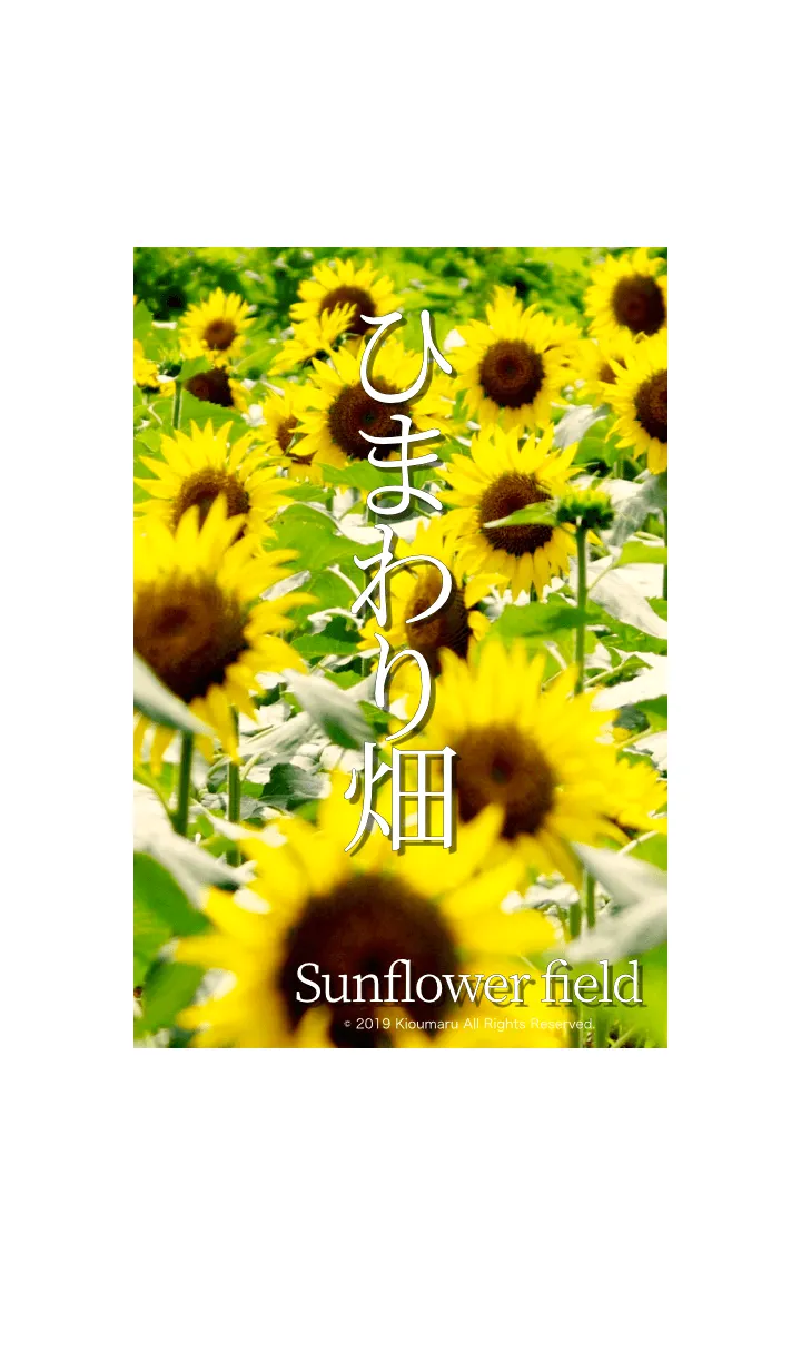 [LINE着せ替え] ひまわり畑 - Sunflower field - #2の画像1