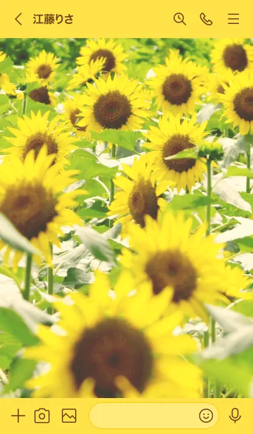 [LINE着せ替え] ひまわり畑 - Sunflower field - #2の画像3