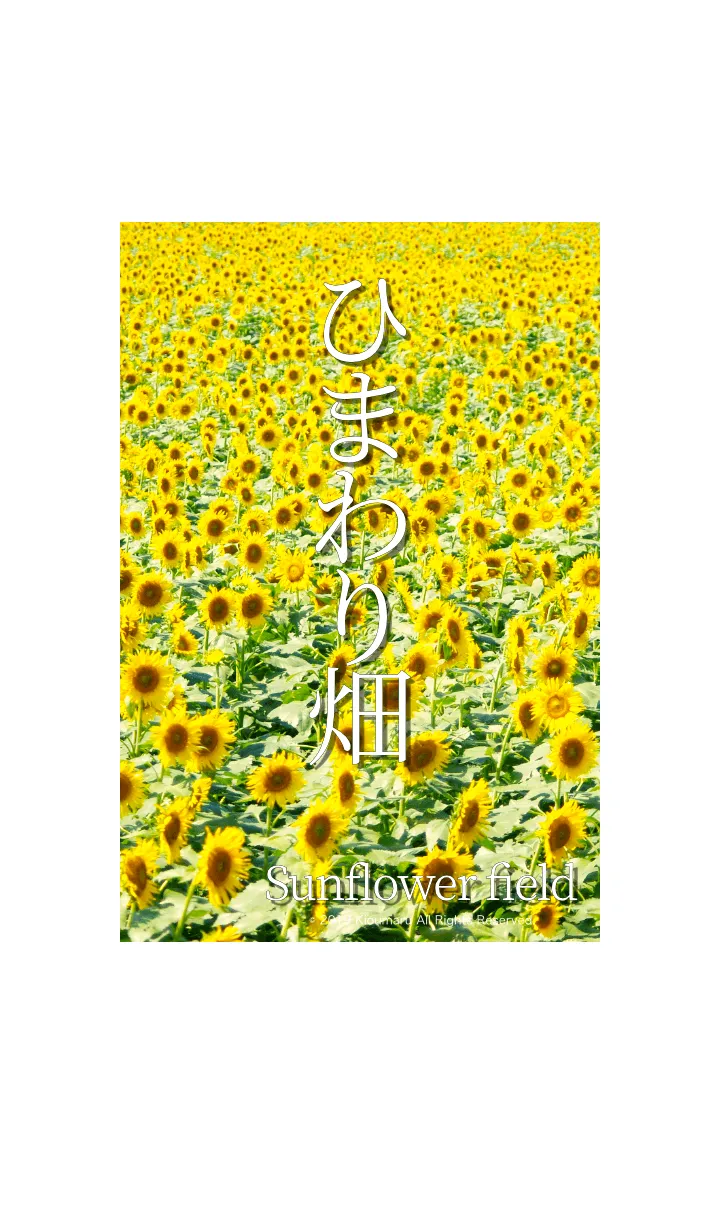 [LINE着せ替え] ひまわり畑 - Sunflower field - #1.1の画像1
