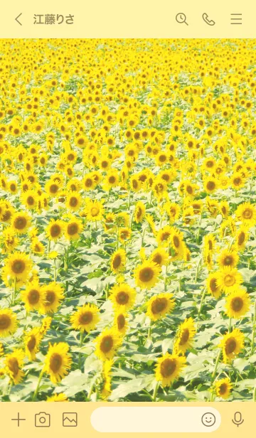 [LINE着せ替え] ひまわり畑 - Sunflower field - #1.1の画像3