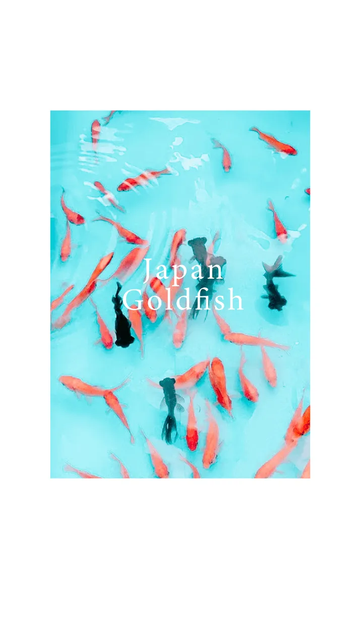 [LINE着せ替え] Japan_Goldfish_simpleの画像1