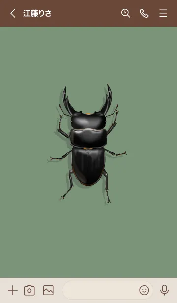 [LINE着せ替え] 「クワガタ」グリーン04_1の画像3
