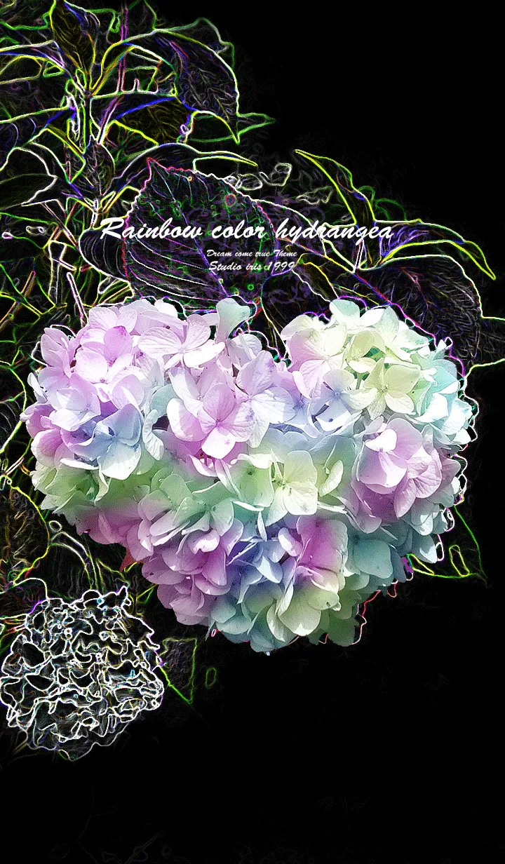 [LINE着せ替え] 恋愛運♥虹色紫陽花の画像1