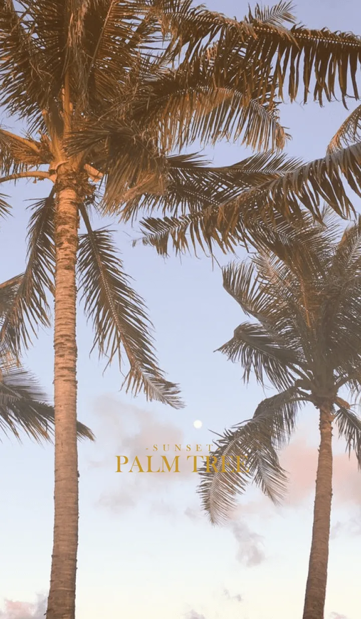 [LINE着せ替え] PALM TREE -SUNSET- 10の画像1