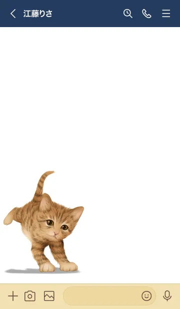 [LINE着せ替え] あおき用可愛い虎猫子猫の画像3