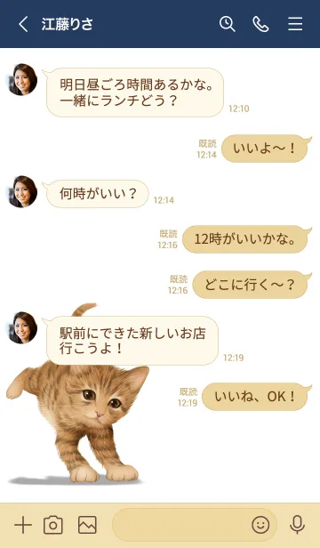 [LINE着せ替え] あおき用可愛い虎猫子猫の画像4