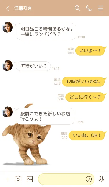 [LINE着せ替え] あおやぎ用可愛い虎猫子猫の画像4