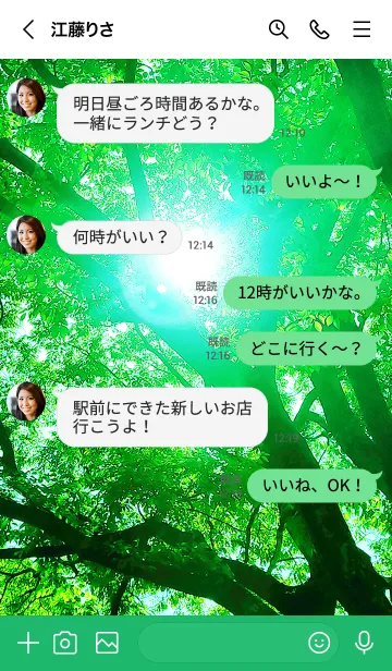 [LINE着せ替え] 目に優しい 木漏れ日 緑の画像4