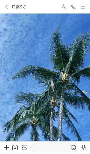 [LINE着せ替え] ALOHA PALM TREE.の画像3