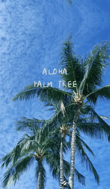 [LINE着せ替え] ALOHA PALM TREE 3の画像1