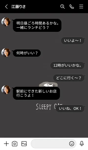 [LINE着せ替え] よく寝るネコ 7の画像4