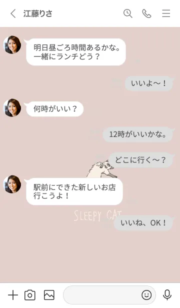 [LINE着せ替え] よく寝るネコ 10の画像4