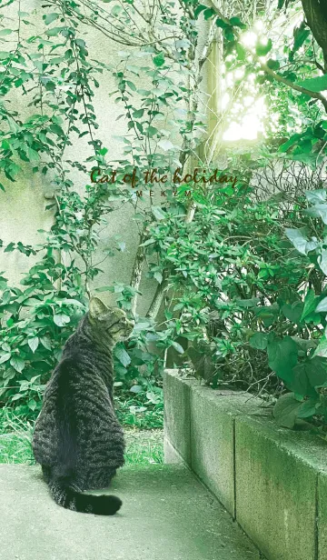 [LINE着せ替え] Cat of the holiday 3の画像1