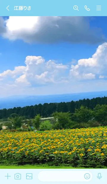 [LINE着せ替え] Beautiful sunflower field！！の画像3