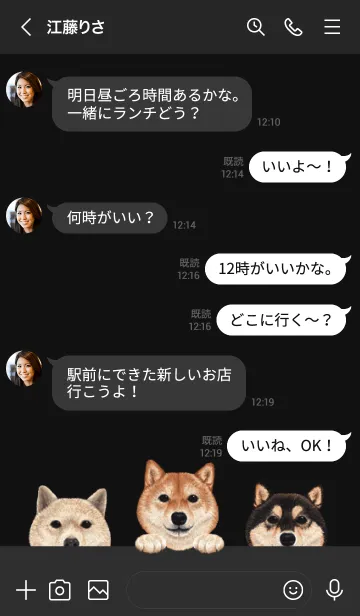 [LINE着せ替え] ワンワン！- 柴犬 - 黒×灰色の画像4