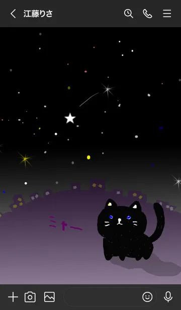 [LINE着せ替え] 夜と黒猫の画像3