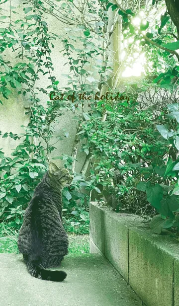 [LINE着せ替え] Cat of the holiday 8の画像1