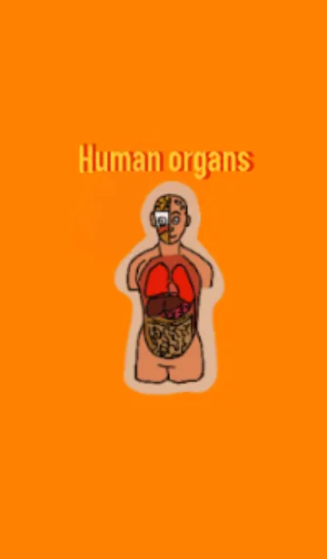 [LINE着せ替え] collect of human organsの画像1