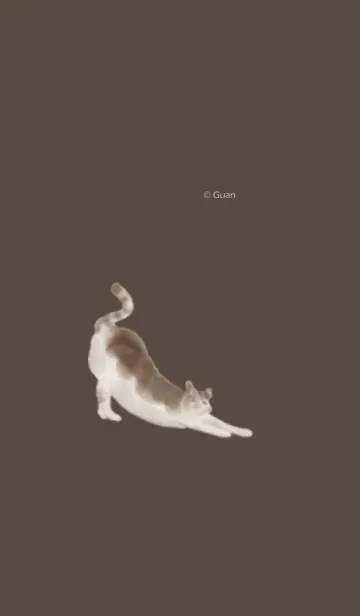 [LINE着せ替え] かわいい猫mi集合の画像1