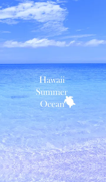 [LINE着せ替え] Summer ocean Hawaii.の画像1