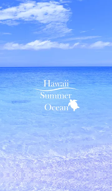 [LINE着せ替え] Summer ocean Hawaii 2の画像1