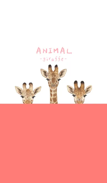 [LINE着せ替え] ANIMAL - キリン - 白×赤色の画像1