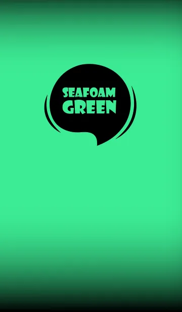 [LINE着せ替え] Seafoam Green And Black Vr.7 (JP)の画像1