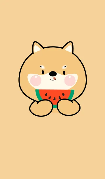 Face  Shiba Inu  Simple Theme (JP)の着せ替えメイン画像